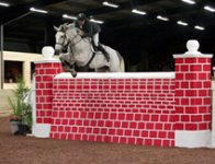 show jumping 2.jpg