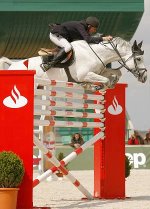 show jumping 3.jpg