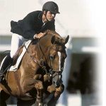 show jumping3.jpg