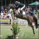 show jumping 5.jpg