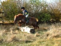 children & horse19.jpg