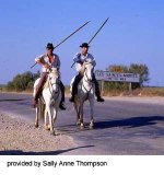 camargue-web-2.jpg