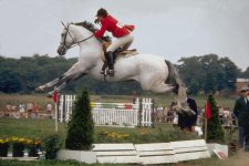 HORSE%20Jumping027.jpg