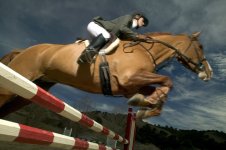 show jumping 13.jpg