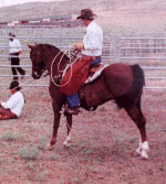 Missouri Fox Trotting  3.gif