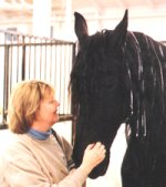 friesian_1_200.jpg