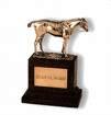 Eclipse_award3.jpg