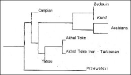 chart1.jpg