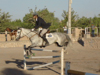 DSC05275.gif