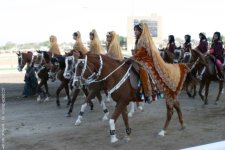 RoyalCavalryfestival7.jpg