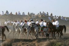 desert-festival-group.jpg