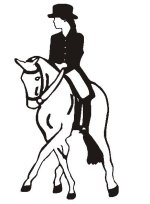 horse-dressage-female.jpg