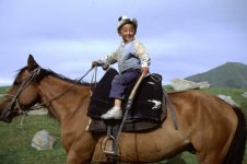 horse-kid-9.jpg