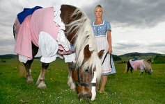 horse-dress-425ds051109.jpg