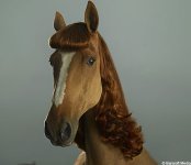 horseextensions2BAR_450x389.jpg