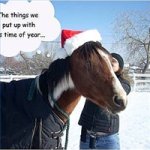 horse-christmas-card-200X200.jpg