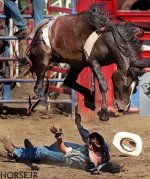 rodeo-chris-doane.jpg