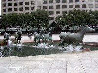 horse-pool.jpg