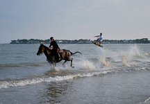 horse-surfing-harold-quinquis-011.jpg