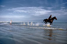 horse-surfing-harold-quinquis-09.jpg