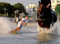 horse-surfing-harold-quinquis-07.jpg