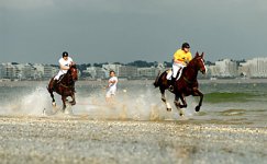 horse-surfing-harold-quinquis-05.jpg