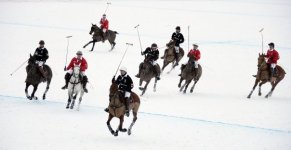 persian polo5.jpg