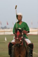 persian polo.jpg