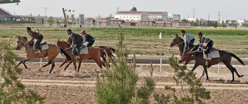 turkmenistan akhal.jpg