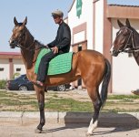 turkmenistan akhal4.jpg