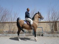 Horse back riding 012.jpg