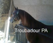 Troubadour PA.jpg