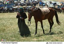 arasbaran horse1.jpg