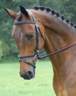 essen-dressage-bridle.jpg