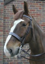 bridles10.jpg