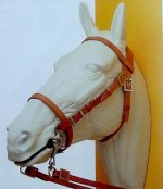 spanish_bridle.jpg