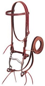 western_bridle.jpg