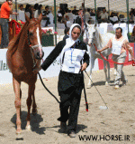 ARABIANHORSESHOW9.gif