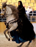 arabian-horse-show-dubai4.jpg