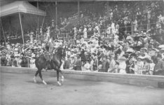 Individual gold medallist in Dressage, Sweden’s Carl Bonde and Emperor.jpg