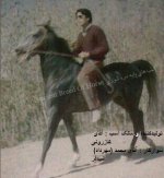 محمد مهرداد شید&#1.jpg