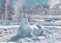 snow%20horse.jpg