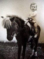 baby-bj-horse-400w.jpg