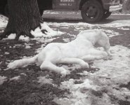 1964-snow-horse-rahway-nj.jpg