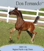 DonFernandoFoal.jpg