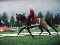 Galambia is a dun mare from Melesur and Galatea,.jpg