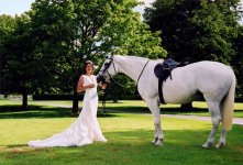 bride-with-horse-2-feb08.jpg