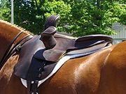 180px-Sidesaddle_back_devon_pa.jpg