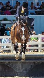 175px-Sidesaddle_jumping_devon_pa.jpg