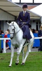 200px-SideSaddle_class_horse_show_2.jpg